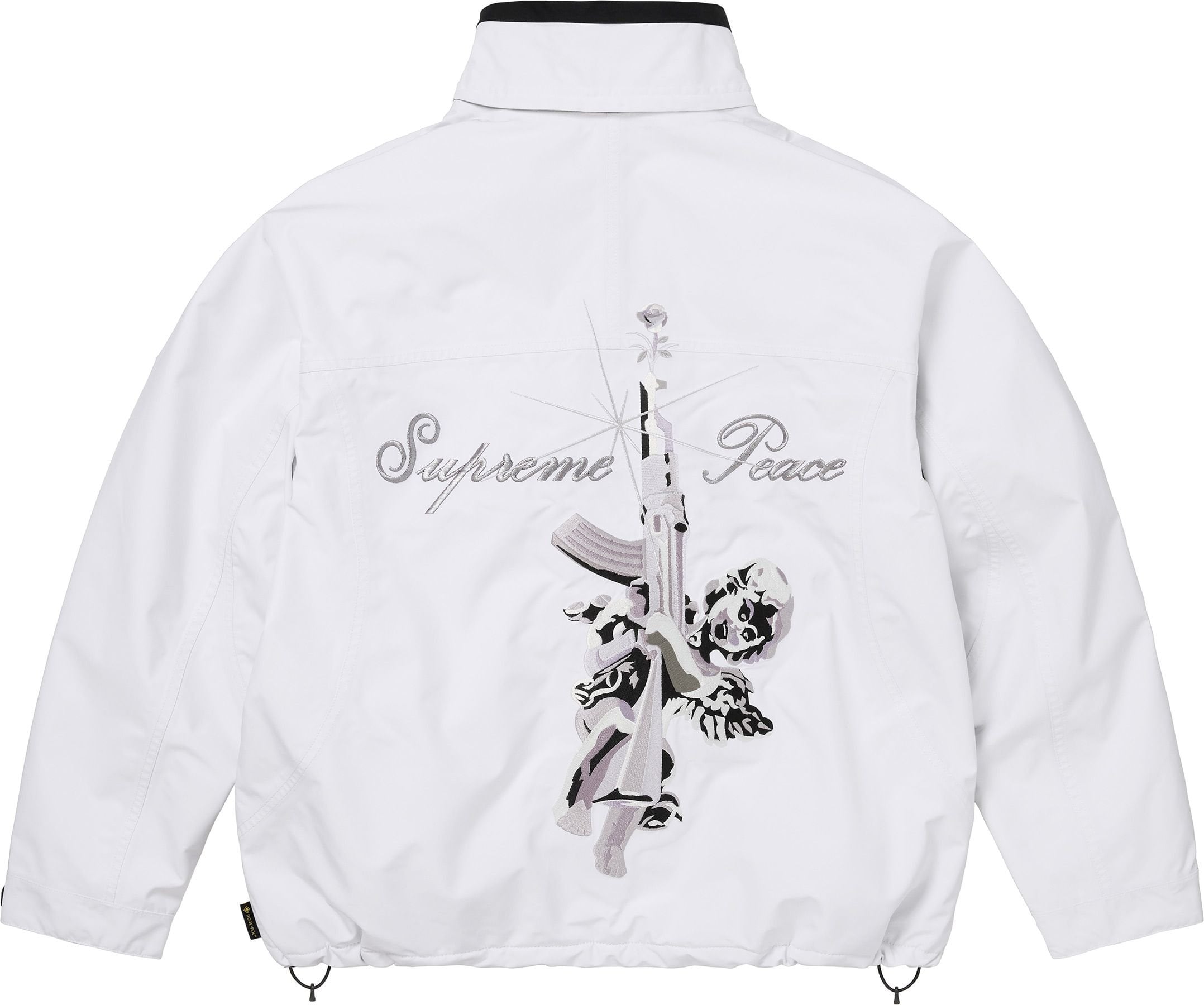 AOI GORE-TEX Hooded Jacket view 2